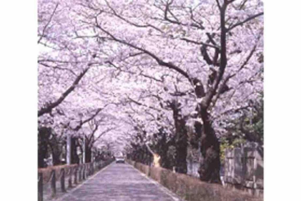 Small Villa Tokyo 渋谷まで2駅10分 青山一丁目駅徒歩3分一軒家ペット歓迎お子様歓迎駐車場あり6人までok מראה חיצוני תמונה